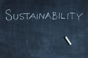 Lograr que un Proyecto Ecológico sea Rentable | HeroSuite.io Oficial